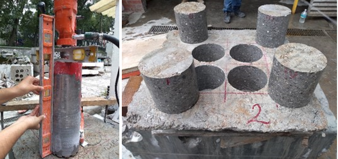 Specimens removal for the Barcelona Test.