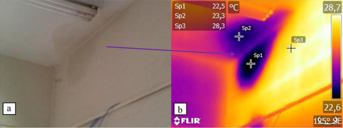 Pluvial water penetration: (a) digital image and (b) thermogram