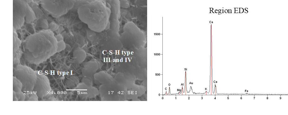 Concrete subjected to wet curing for 7 days and permanent central loading, at six months of age