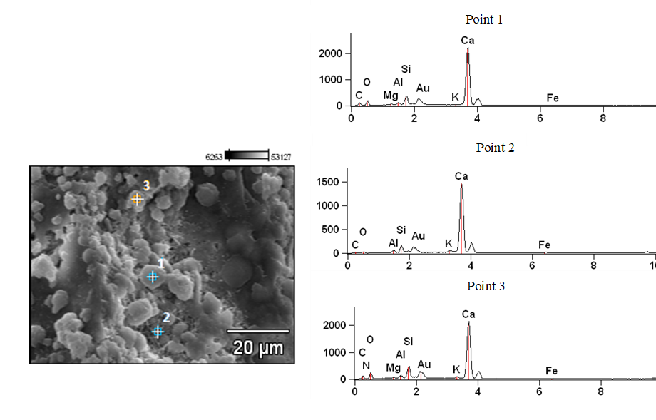 EDS microanalysis at three points of the concrete under permanent central loading (CCP).