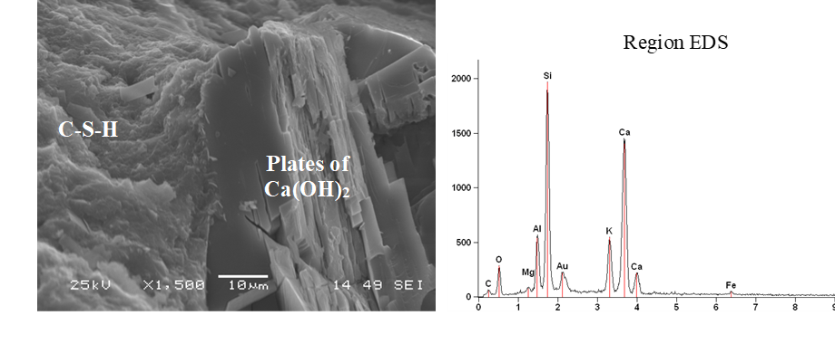 Micrograph and microanalysis of the unloaded concrete sample, at 24 months of age.