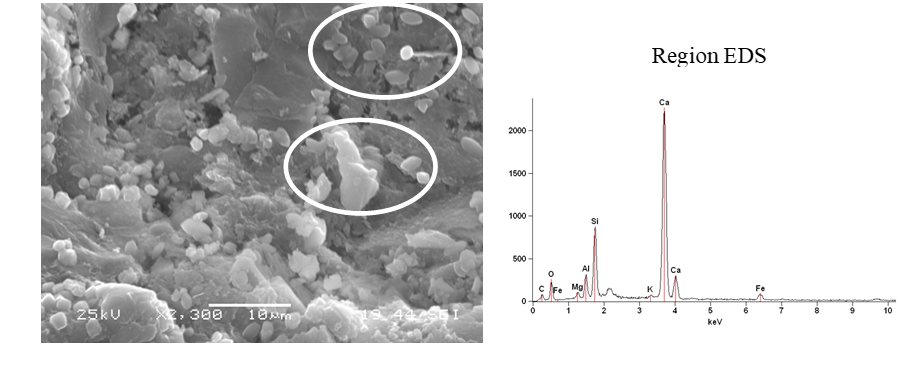 Micrographs and microanalyses of concretes with permanent central loading.