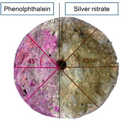 Schematic of the locations for measuring the depth of carbonation and the penetration of chloride ions.