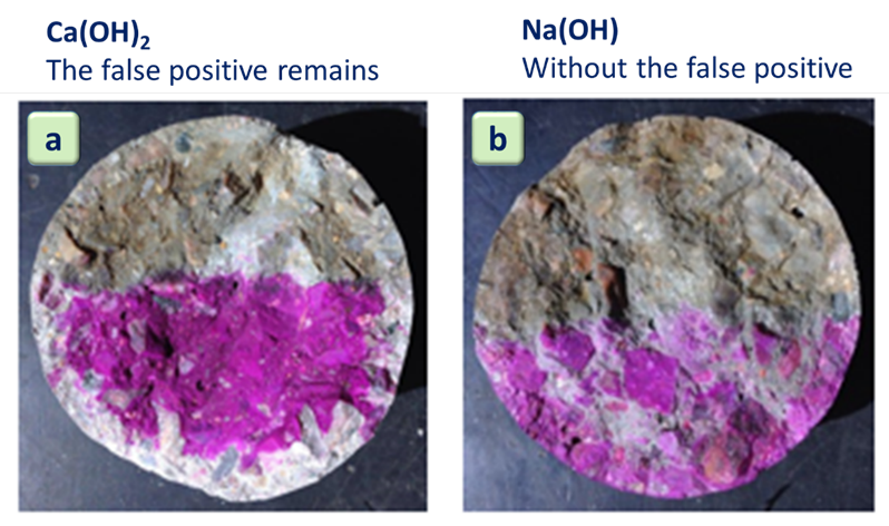 Carbonated specimens with (a) previous spraying of Ca(OH)2 solution (b) previous spraying of NaOH solution.