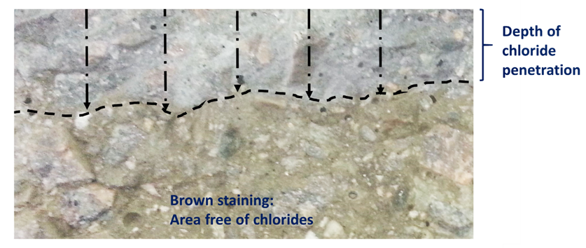 Illustration of the contrast obtained with the application of the colorimetric method to determine the depth of penetration of chlorides, using a spray of a solution of NaOH and one of AgNO3.