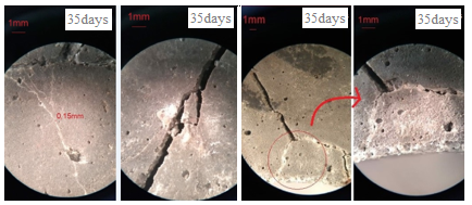 Sel-healing in formulation BAC.EP &ndash; Sample 1.