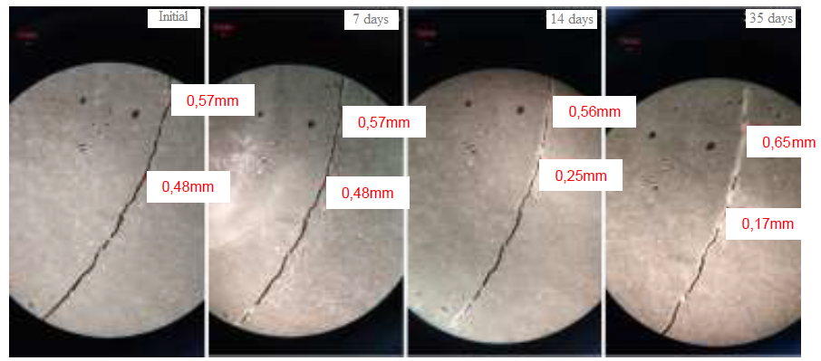 Self-healing in formulation BAC.EC &ndash; Sample 2.