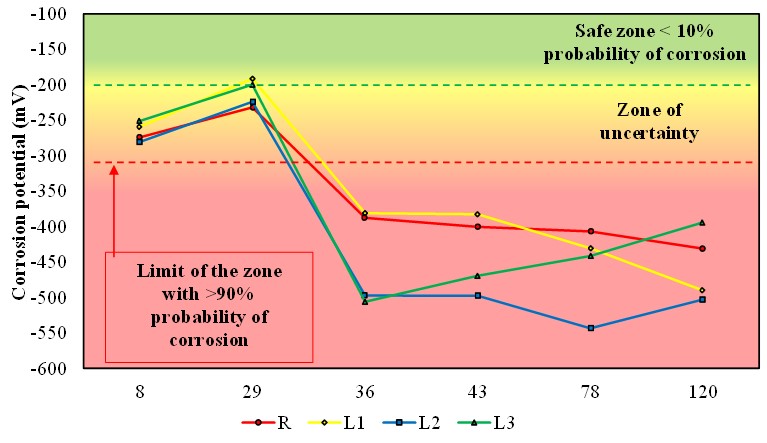 Behavior of the average corrosion potential of the families over time.