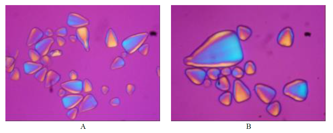 Micrografías de los
gránulos de almidón de ñame congo obtenidas por MLP.