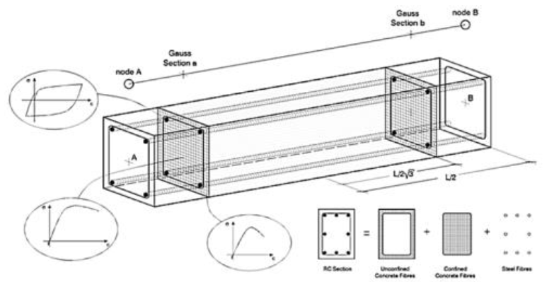 Discretizaci&oacute;n de una secci&oacute;n transversal t&iacute;pica de
concreto armado (SeismoSoft 2014).