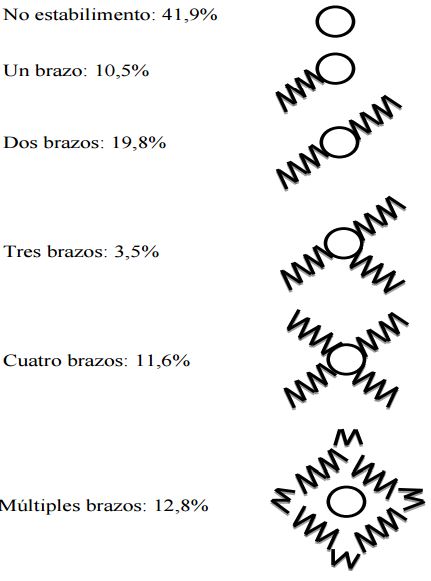 Patrones y frecuencias observadas en
la estructura del estabilimento de Argiope argentata. Porcentajes basados en 86
telarañas examinadas.