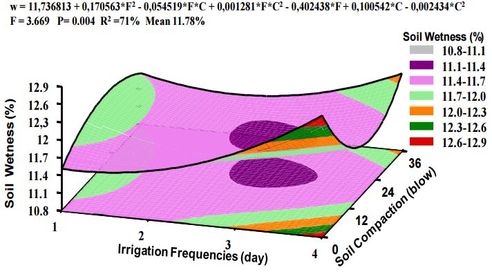 Soil water content dry basis versus irrigation frequencies and soil compaction.
