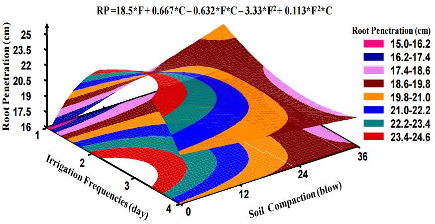 Root penetration versus irrigation frequencies and soil compaction.