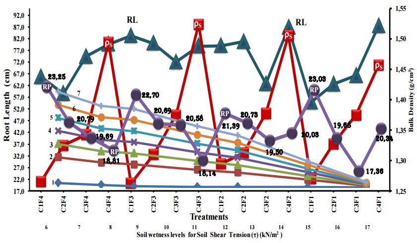 Root length and penetration versus treatment, bulk density and shear tension
(t) and normal load (o) effects.