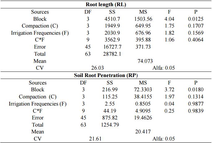Analysis of variance of the root length (RL) and Root penetration (RP), for
Blok, Compaction, irrigation frequencies and the combined effect of C*F of a
savanna soil of Monagas State of Venezuela.

 