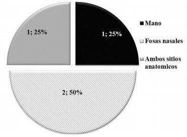 Frecuencia de cepas de Staphylococcus ssp. aisladas de
manos y fosas nasales del personal de enfermería que labora en el servicio de
neonatología del Hospital Universitario “Antonio Patricio de Alcalá”.
Julio-Agosto 2009.