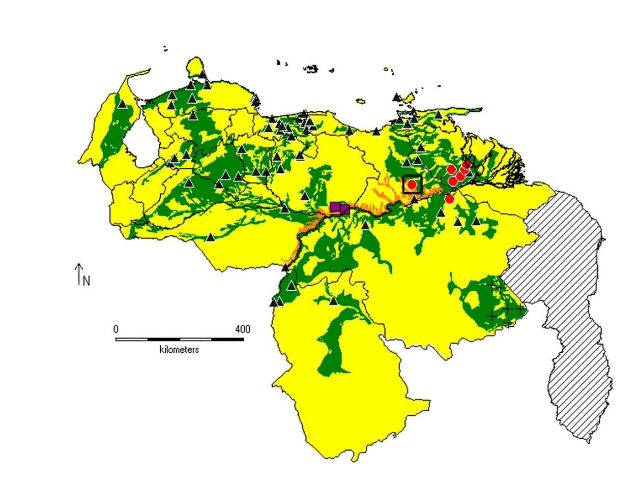 Mapa de distribuci&oacute;n potencial usando la
vegetaci&oacute;n de Huber y Alarc&oacute;n (1988), disponible en formato shp. Amarillo = 0
especies, verde = 1 al menos una especie y anaranjado = 2 especies presentes.
Tri&aacute;ngulo negro = Crotalus durissus cumanensis, cuadrado violeta = Crotalus
durissus pifanorum y c&iacute;rculo rojo = Crotalus durissus vegrandis (c&iacute;rculo rojo
bordeado de un cuadrado negro corresponde al esp&eacute;cimen ac&aacute; documentado). El
mapa base y los datos fueron trabajados usando el programa Diva-Gis versi&oacute;n 7.5
(licencia gratuita). Datos de las especies mencionadas siguen a Natera-Mumaw et
al. (2015).