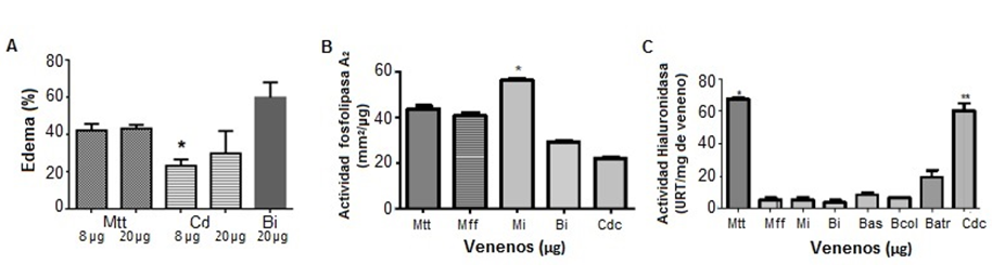Actividades edematizante, hialuronidasa y Fosfolipasa A2 (PLA2) de venenos de Micrurus, Bothrops y Crotalus.