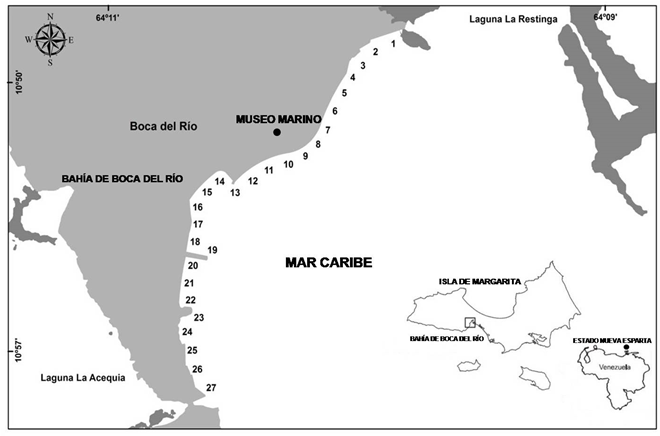Ubicación geográfica relativa de las estaciones de muestreos en la bahía de Boca de Río (círculo negro),
Isla de Margarita (recuadro blanco), estado Nueva Esparta, Venezuela.