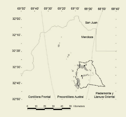 Localizaci&oacute;n de los registros del
guanaco leuc&iacute;stico (1) y el guanaco albino (2,
tri&aacute;ngulos negros), l&iacute;mites de la Reserva Villavicencio (l&iacute;nea discontinua),
registros de guanacos (c&iacute;rculos grises, proporcionales al tama&ntilde;o de grupo
social) y l&iacute;mites entre la Precordillera Andina
Austral, la Cordillera Andina Frontal y el Piedemonte y Llanura oriental
(Mendoza, Argentina)