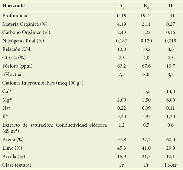Perfil modal de Haplustol
fluventico (31&ordm;24&rsquo;09,2&rdquo;S-64&ordm;20&rsquo;31,9&rdquo;W). 4%
