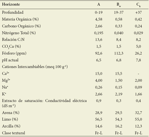 Perfil modal de Haplustol
t&iacute;pico (31&ordm;24&rsquo;29,7&rdquo;S-64&ordm;17&rsquo;49,2&rdquo;W). 13%