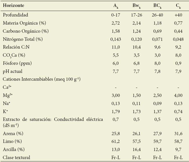 Perfil modal de Haplustol
t&iacute;pico, fase &ldquo;calc&aacute;rea&rdquo; (31&ordm;26&rsquo;17,0&rdquo;S-64&ordm;22&rsquo;06,2&rdquo;W). 8%