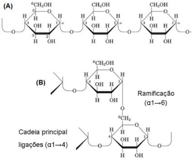 Estrutura da amilose (A) e amilopectina (B)74.