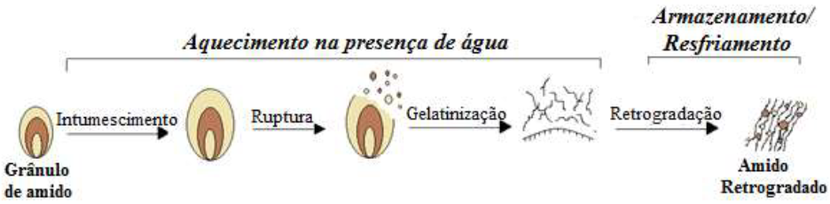 Processo esquem&aacute;tico da obten&ccedil;&atilde;o do amido retrogradado.