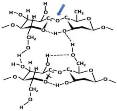 .Estrutura da celulose. As linhas pontilhadas esquematizam as liga&ccedil;&otilde;es de hidrog&ecirc;nio poss&iacute;veis e a seta azul, a liga&ccedil;&atilde;o.