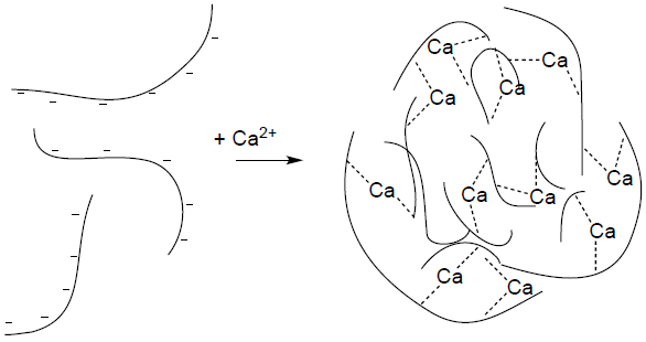 Mecanismo de reticula&ccedil;&atilde;o da pectina de baixo grau de metoxila&ccedil;&atilde;o na presen&ccedil;a de &iacute;ons Ca+2 73.