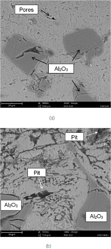 SEM image of Al–Al2O3/Al/ ground steel coating at high magnification before (a) and after (b) longer immersion times.