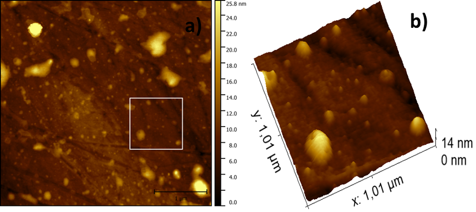 AFM topography images of 4 x 4 μm2 (a) 3D surface topography associated with
the region (1 x 1 μm2) square draw on (a).