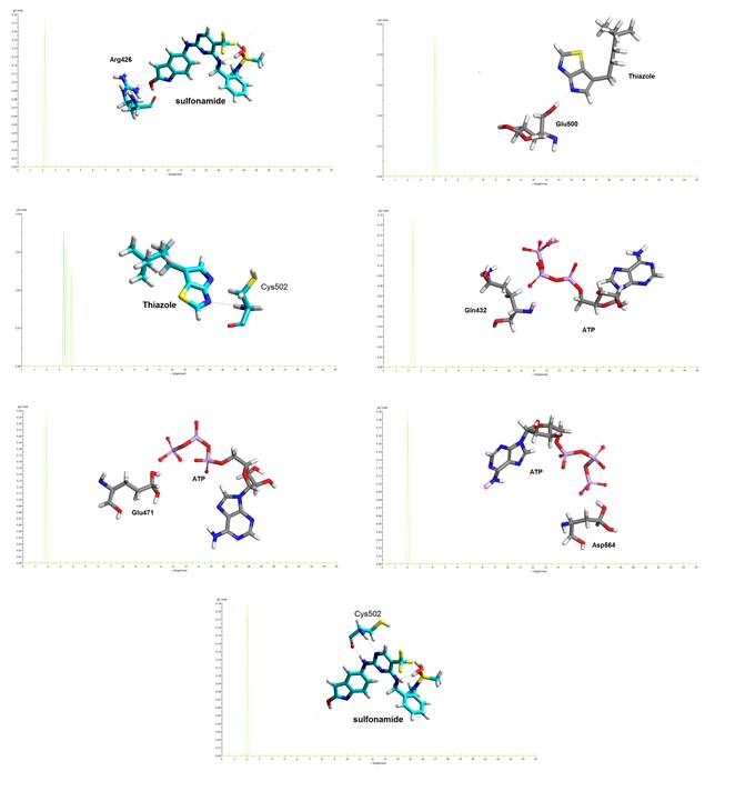 Hydrogen bonds performed by the inhibitors and ATP using molecular
dynamics and the graphic of pair function correlation.