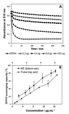 Antioxidant activity of ME on
DPPH• scavenging. (A) Absorbance versus reaction time in absence of extract
(only DPPH•) and presence of extract (2.2, 4.4, 8.8, 15.5 µg). (B)  DPPH•
scavenging by ME (0.5 at 17.0 µg mL-1) and by Trolox (1.0 at 6.0 µg mL-1),
after 3 h of incubation mean ± standard deviation for
assay made in triplicate from 3 extractions (n=3).
