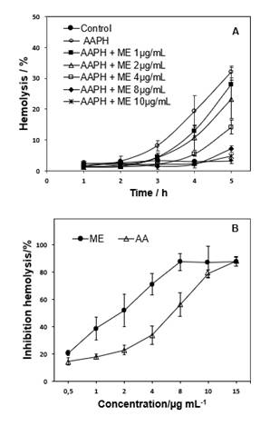 Antihemolytic action of ME. (A)
Percentage of AAPH-induced hemolysis over time evaluated in absence and
presence of ME (1 at 10 µg mL-1), in relation with 100% hemolysis induced by
water. A control test (only erythrocytes) in the absence of ME and AAPH was
made (control). (B) Hemolysis inhibition by ME and ascorbic acid (AA, 0.5 at 15
µg mL-1) after 4 h of incubation, in relation with control assay (absence of antioxidant).
Mean ± standard deviation for assay made in triplicate
from 3 extractions (n=3).

 
