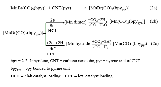 Proposed mechanism of fac-[MnBr(bpypyr)(CO)3]
immobilized on a CNT sidewall, concentration-dependent dimerization or Mn−H formation,
and intermediate-dependent reduction of CO2 to CO or HCOOH115.