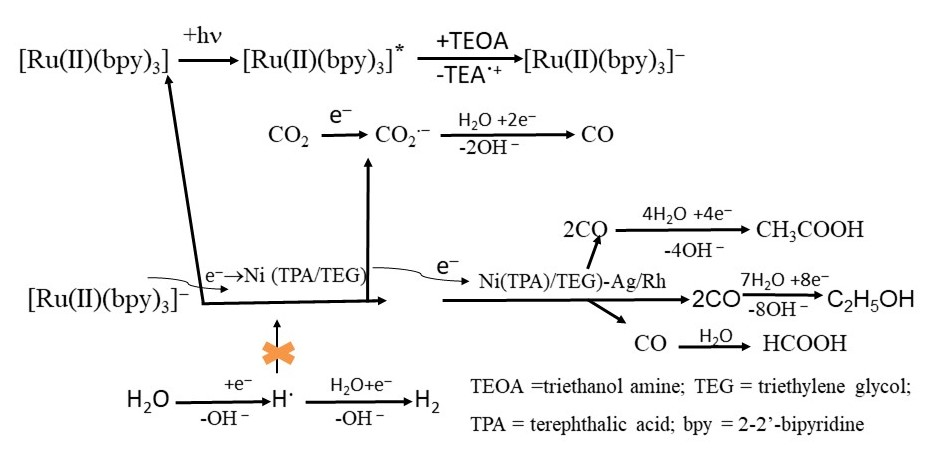 Proposed mechanisms for the
photocatalytic reduction of CO2 to CO and of CO to other liquid
products. Visible light reduction of the photosensitizer [Ru(bpy)3]2+,
which transfers an electron to the Ni(TPA/TEG) catalyst to convert CO2
to CO and to Ni(TPA/TEG)-(Ag/Rh) catalysts for the generation of HCOOH, CH3COOH,
and CH3CH2OH from further reduction of CO164.
