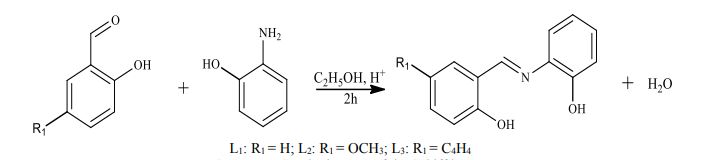 Synthetic route of the Schiff bases.