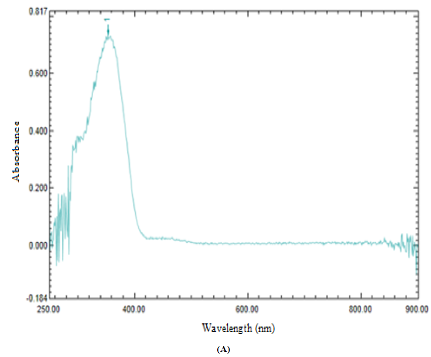 UV-Visible spectra of L1 (A), NiL1NH3 (B). (A)