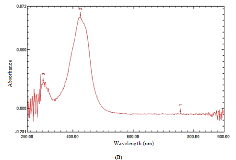 UV-Visible spectra of L1 (A), NiL1NH3 (B). (B)