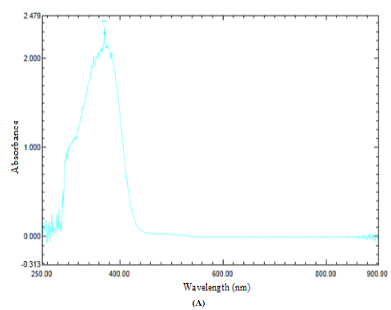 UV-Visible spectra of L2 (A), NiL2NH3 (B). (A)