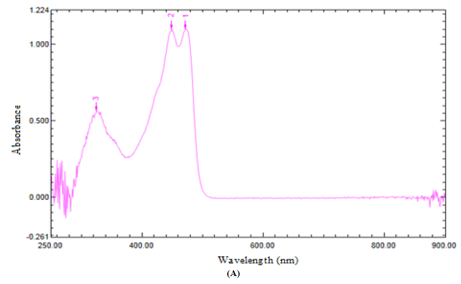 UV-Visible spectra of L3 (A), NiL3NH3 (B) (A)