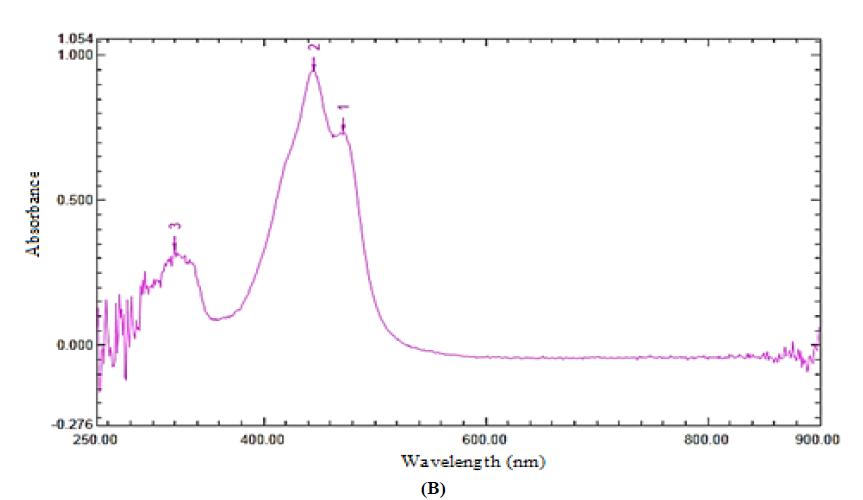 UV-Visible spectra of L3 (A), NiL3NH3 (B)