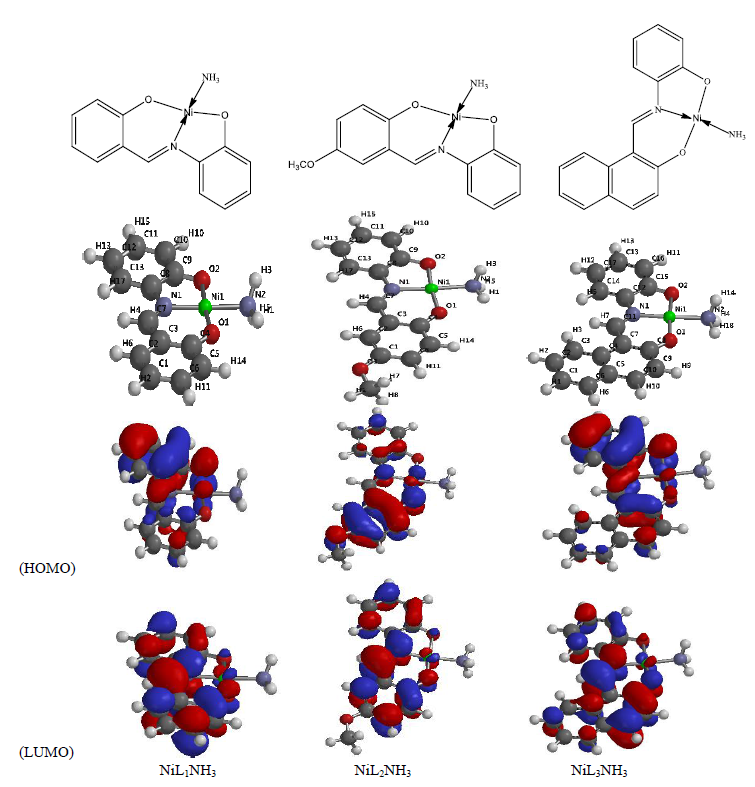 Proposed and optimized structures of the complexes at B3LYP/6-31G** level.