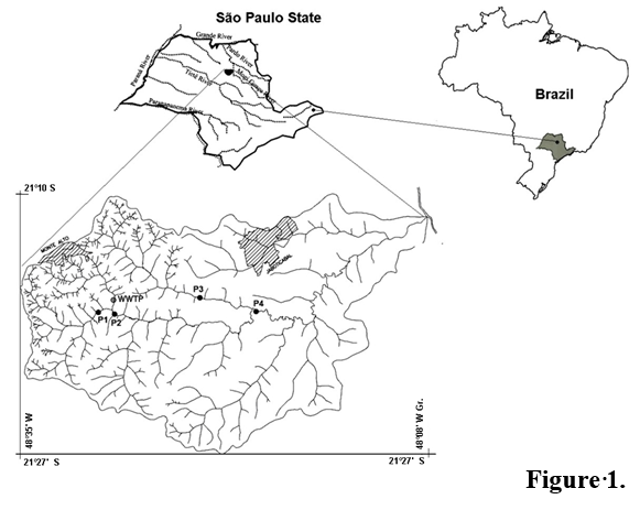 Map of the studied area showing the location of four sampling sites (Adapted from Pissarra et al.15 and Takahashi et al.16).