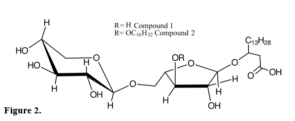 Molecular structures of Compounds 1 and 2.