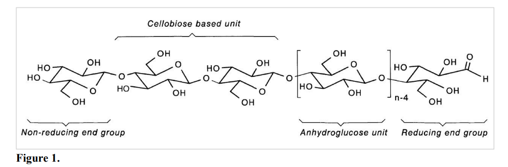 Molecular structure of cellulose14.