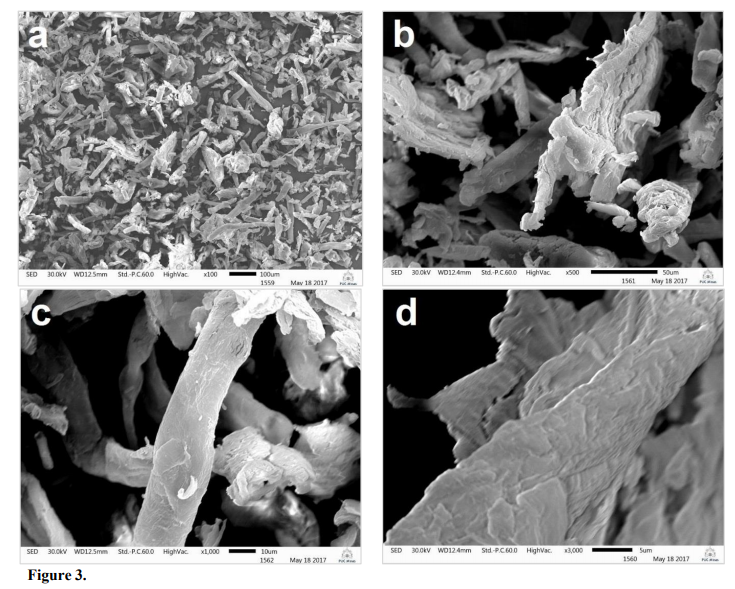 Scanning electron micrographs of microcrystalline cellulose (a) 100-fold magnification, (b) 500-fold magnification, (c) 1000-fold magnification, and (d) 3000-fold magnification.