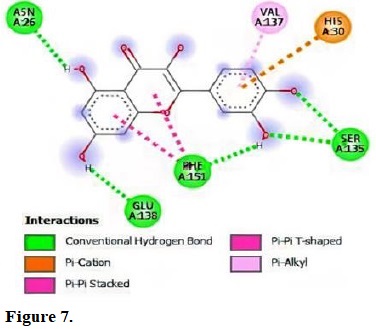 Molecular interactions of quercetin with the residue in the gouge of Staphylococcus aureus (2W9T).